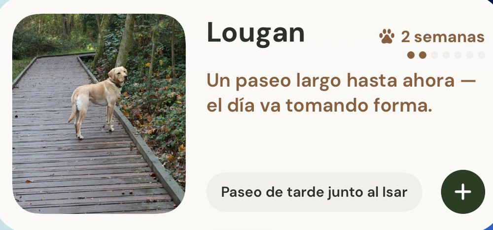 Dogion-Widget