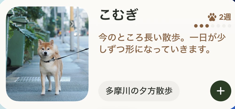 Dogion-Widget